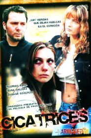 Scars 2005 one on netflix