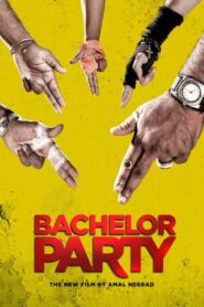 Bachelor Party 2012 one on netflix
