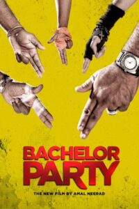 Bachelor Party 2012 one on netflix