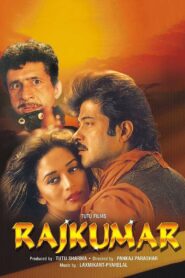 Rajkumar 1996 one on netflix