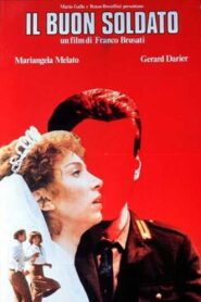 The Good Soldier 1982 one on netflix