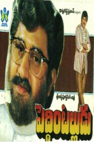 Peddinti Alludu 1991 one on netflix