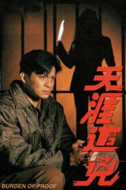 天涯追凶 1994 one on netflix