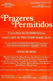 Prazeres Permitidos 1981 one on netflix