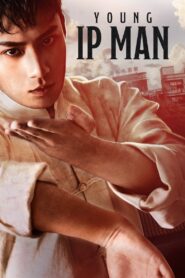 Young Ip Man: Crisis Time 2020 one on netflix