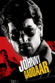 Johnny Gaddaar 2007 one on netflix