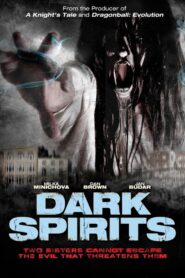 Dark Spirits 2008 one on netflix