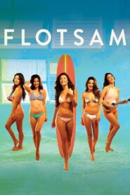 Flotsam 2015 one on netflix