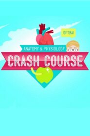 Crash Course Anatomy & Physiology 2015 one on netflix