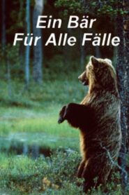 Ein Bär für alle Fälle 1998 one on netflix