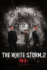 The White Storm 2: Drug Lords 2019 one on netflix
