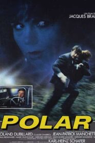 Polar 1984 one on netflix