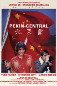 Pékin Central 1986 one on netflix
