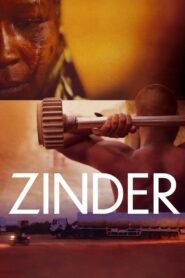 Zinder 2021 one on netflix