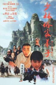 Disciples Of Shaolin 1985 one on netflix