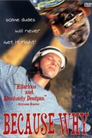 Because Why 1993 one on netflix