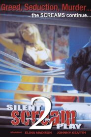 Silent Screamplay II 2006 one on netflix