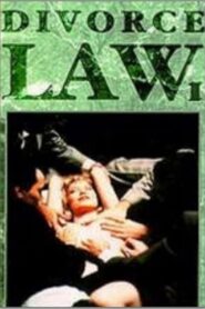 Divorce Law 1993 one on netflix