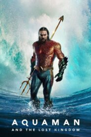 Aquaman and the Lost Kingdom 2023 one on netflix