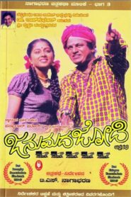 Janumada Jodi 1996 one on netflix