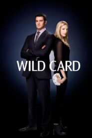 Wild Card 2013 one on netflix