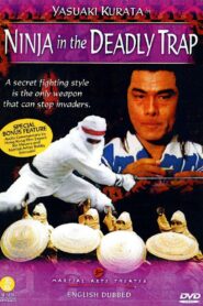 Ninja In The Deadly Trap 1981 one on netflix