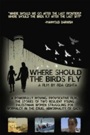 Where Should the Birds Fly? 2013 one on netflix