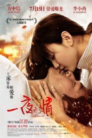 To Love or Not 2011 one on netflix