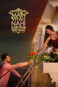 Main Viyah Nahi Karona Tere Naal 2022 one on netflix