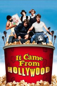 It Came from Hollywood 1982 one on netflix