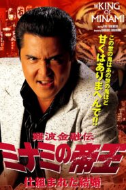 The King of Minami: A Contrived Marriage 2007 one on netflix