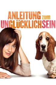 The Pursuit of Unhappiness 2012 one on netflix
