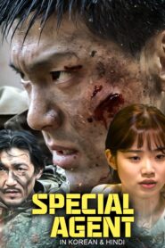 Special Agent 2020 one on netflix