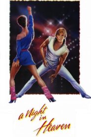 A Night in Heaven 1983 one on netflix