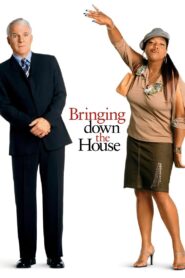 Bringing Down the House 2003 one on netflix