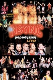NSYNC: PopOdyssey Live 2001 one on netflix