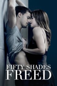 Fifty Shades Freed 2018 one on netflix
