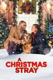 A Christmas Stray 2021 one on netflix