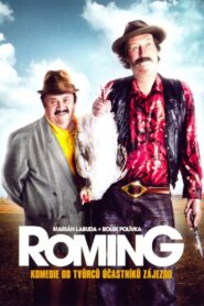 ROMing 2007 one on netflix