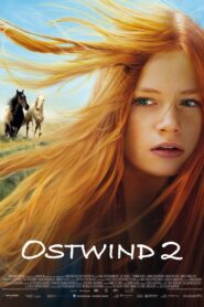 Windstorm 2 2015 one on netflix