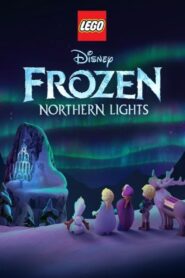 LEGO Frozen Northern Lights 2017 one on netflix
