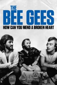 The Bee Gees: How Can You Mend a Broken Heart 2020 one on netflix