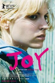 Joy 2010 one on netflix