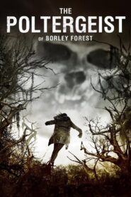 The Poltergeist of Borley Forest 2013 one on netflix