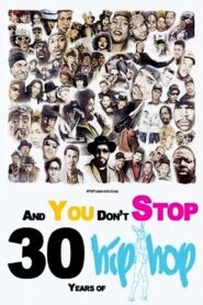 And You Don’t Stop: 30 Years of Hip-Hop 2004 one on netflix