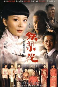 Tie Li Hua 2010 one on netflix