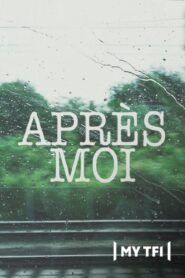 Après moi 2010 one on netflix