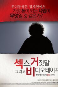 Sex, Lies and Videotape 2012 one on netflix