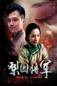 梨园将军 2016 one on netflix