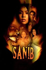 Sanib 2003 one on netflix